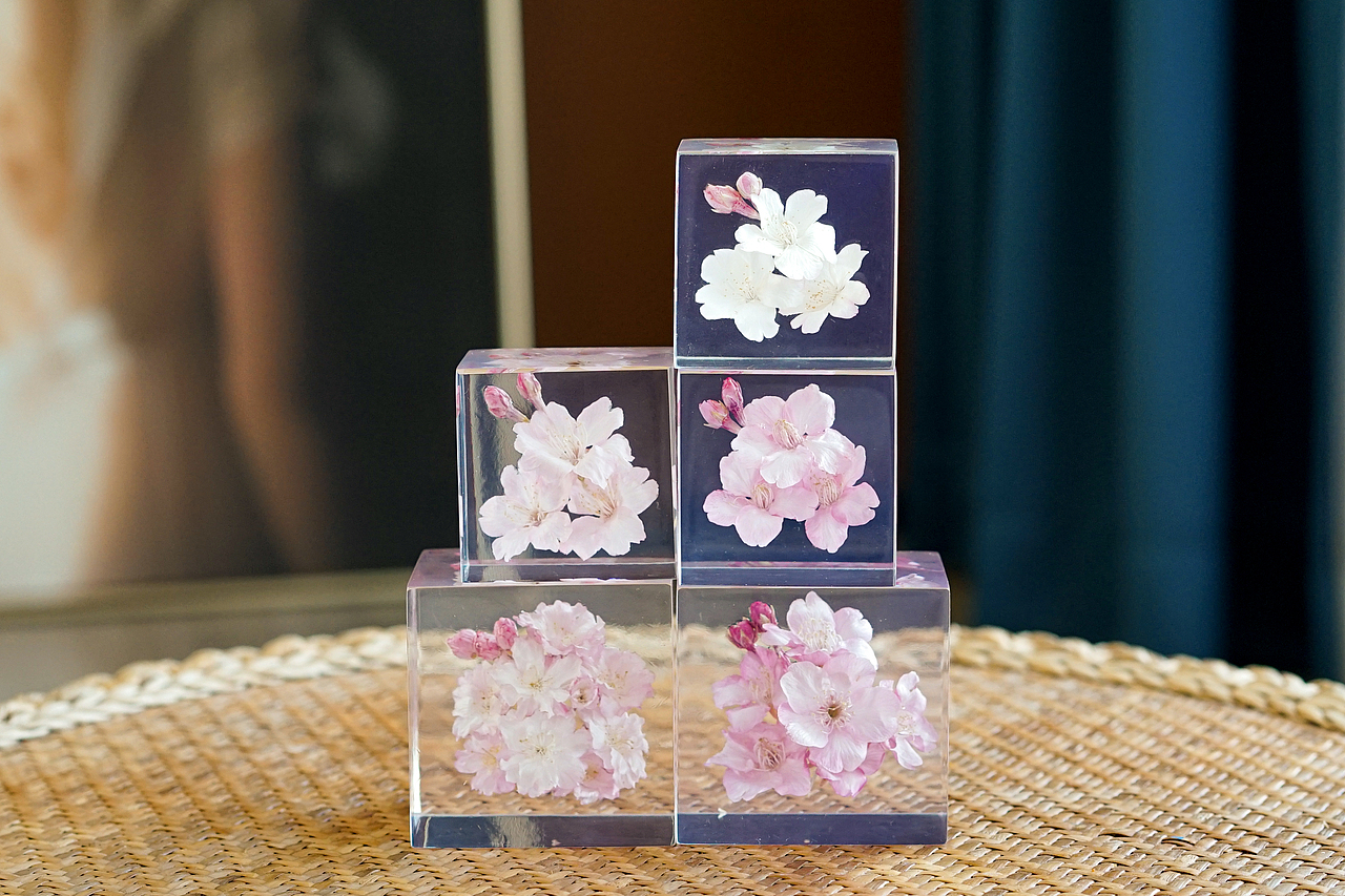 樱花立方体标本摆件（图ZMzEyMTA4OTQw） - 产品摄影 - 站酷设计师月球飞来的胖企鹅原创素材 - 站酷ZCOOL