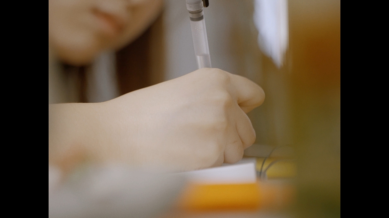 阳光、布裙与手账