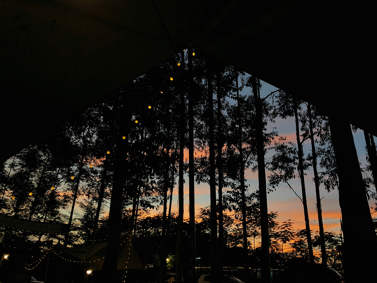 望秋（图ZMzE3ODY5MzEy） - 其他摄影 - 站酷设计师Moki吞吞原创素材 - 站酷ZCOOL