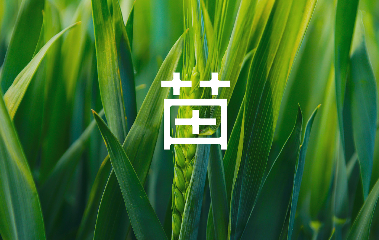 YIMIAO一苗 - 品牌VI设计（图ZMzA4MzQyMTIw） - 品牌 - 站酷设计师亿电设eDeSIGN原创素材 - 站酷ZCOOL