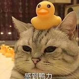 用戶頭像