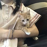 木木夕peri的头像