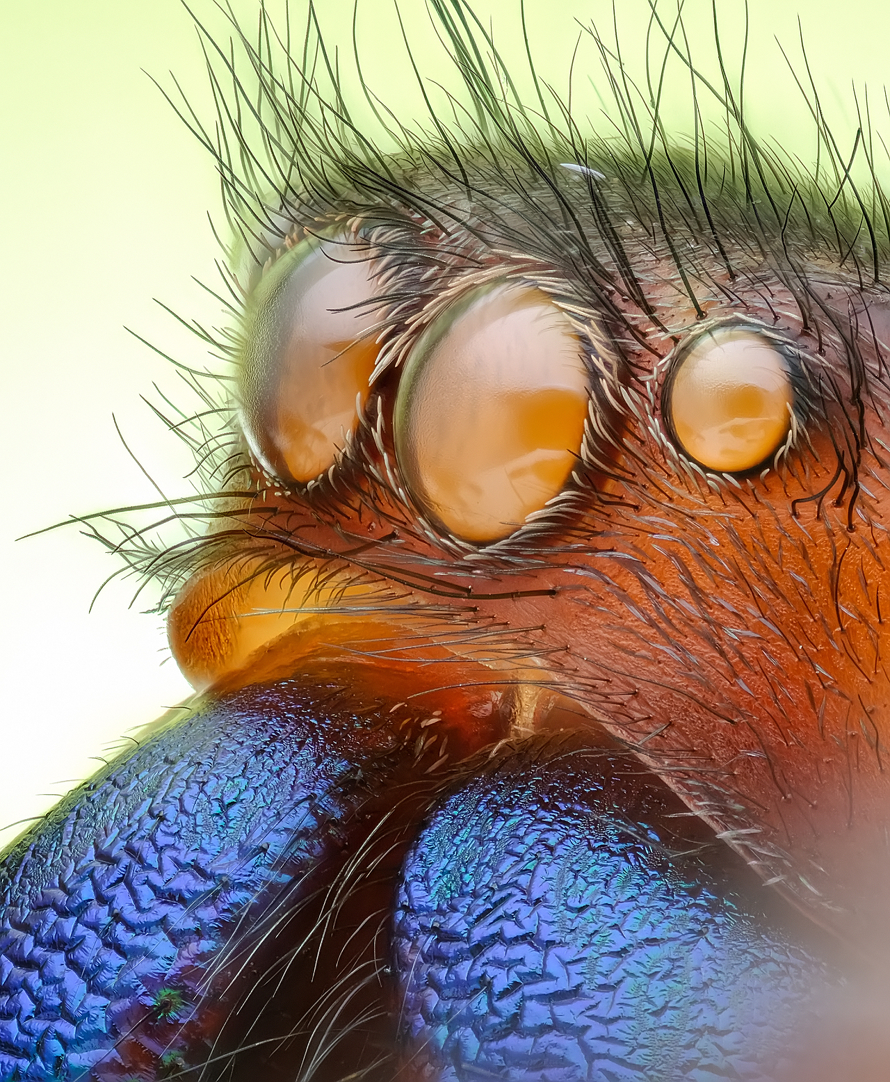 豪华太空舱-瓜哥堆叠微距摄影（图ZMjQxNDYzMDUy） - 风光摄影 - 站酷设计师瓜哥微距摄影原创素材 - 站酷ZCOOL