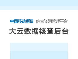 大云數(shù)據(jù)核查后臺(tái)