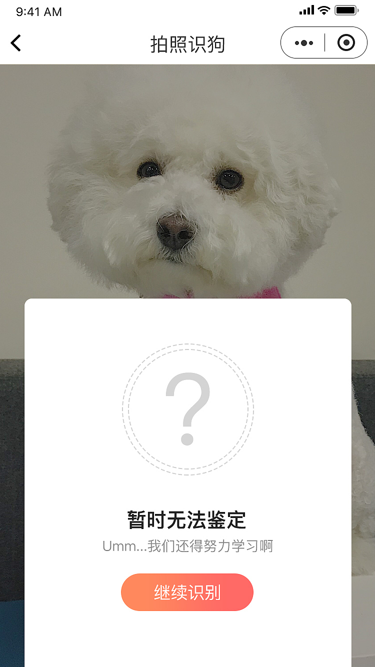 宠物纯度检测页面设计（图ZMTI2MDAxMzY0） - 软件界面 - 站酷设计师Heyxx原创素材 - 站酷ZCOOL