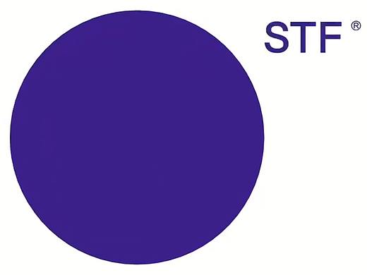 MG动画 STF logo演绎 提案