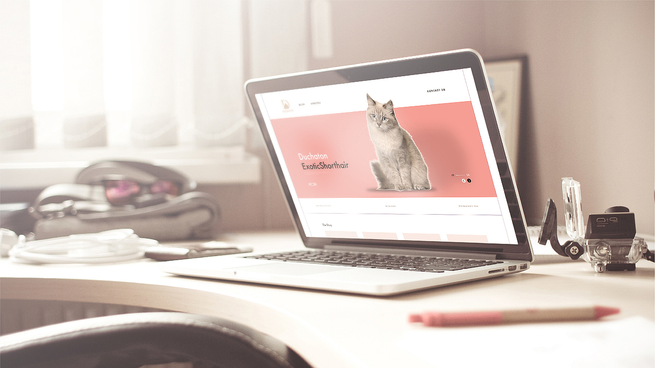 Duchaton猫公爵_标志设计（图ZOTkxNjk3MjQ=） - Logo - 站酷设计师Cloth布原创素材 - 站酷ZCOOL