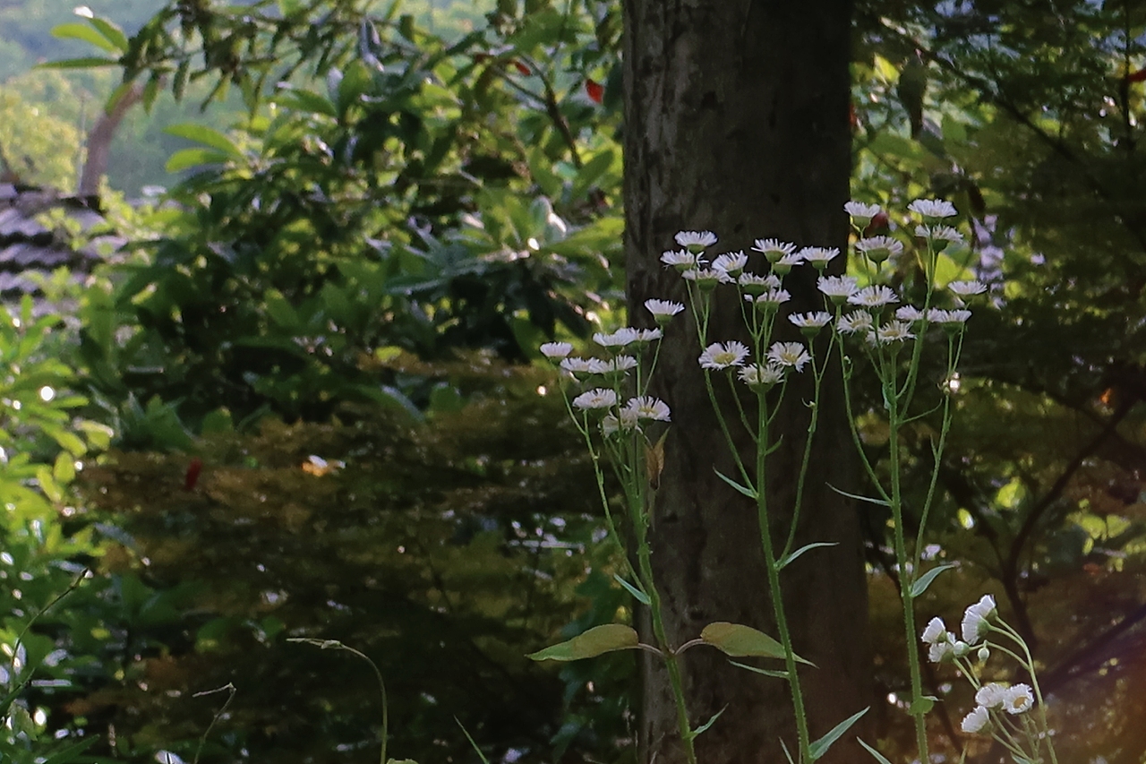 逛公园才是正经事