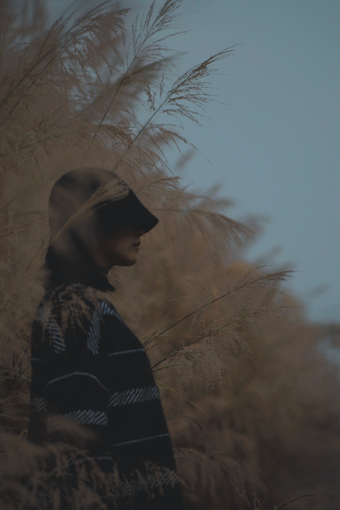 日落时,把自己还给生活。