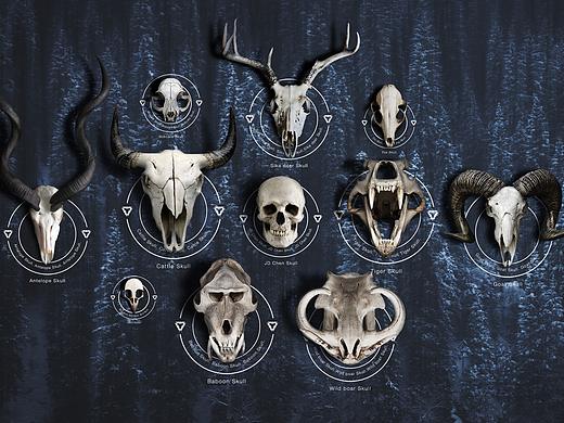 Skull（个人主页-ZMzE0ODY1OTI=） - 其他平面 - 站酷设计师会飞的鲨鱼青椒原创素材 - 站酷ZCOOL