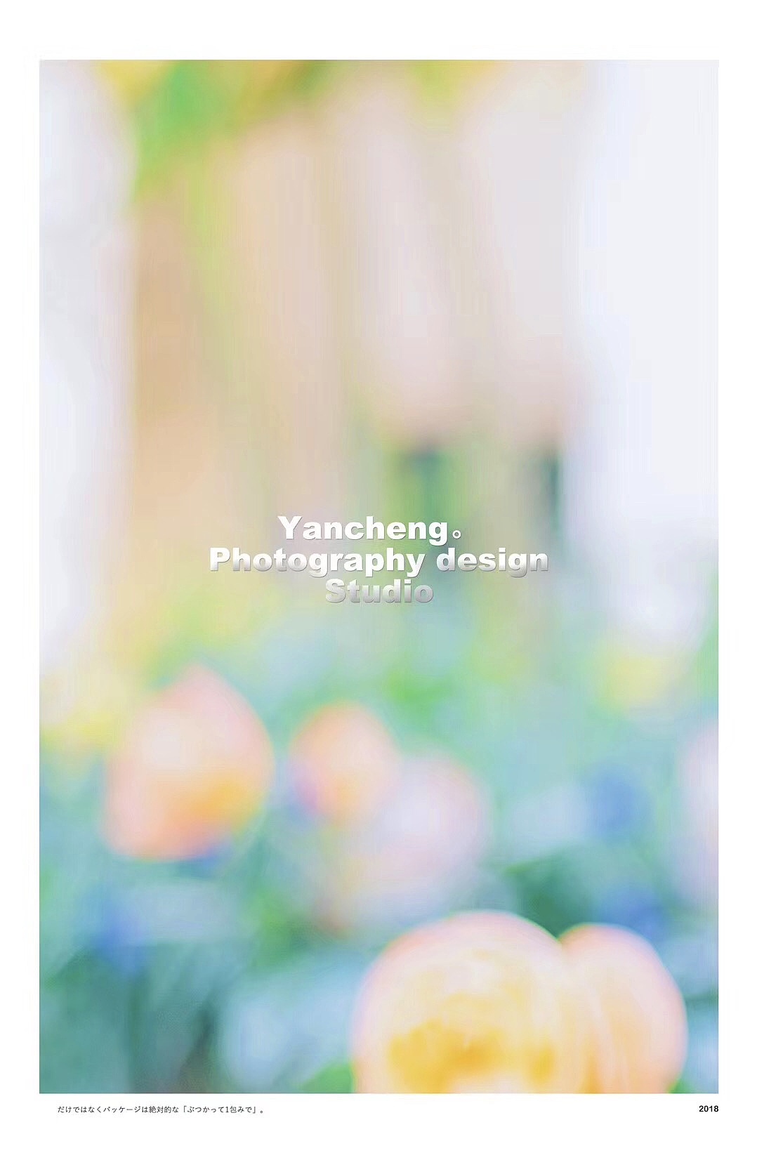 狗狗写真 「 宠物摄影 」（图ZMjcyNjU2NTc2） - 宠物摄影 - 站酷设计师言成視覺原创素材 - 站酷ZCOOL