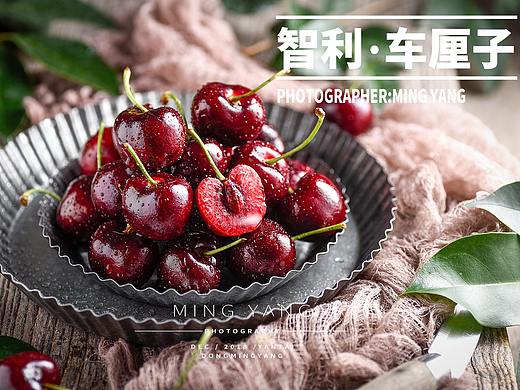 车厘子樱桃拍摄