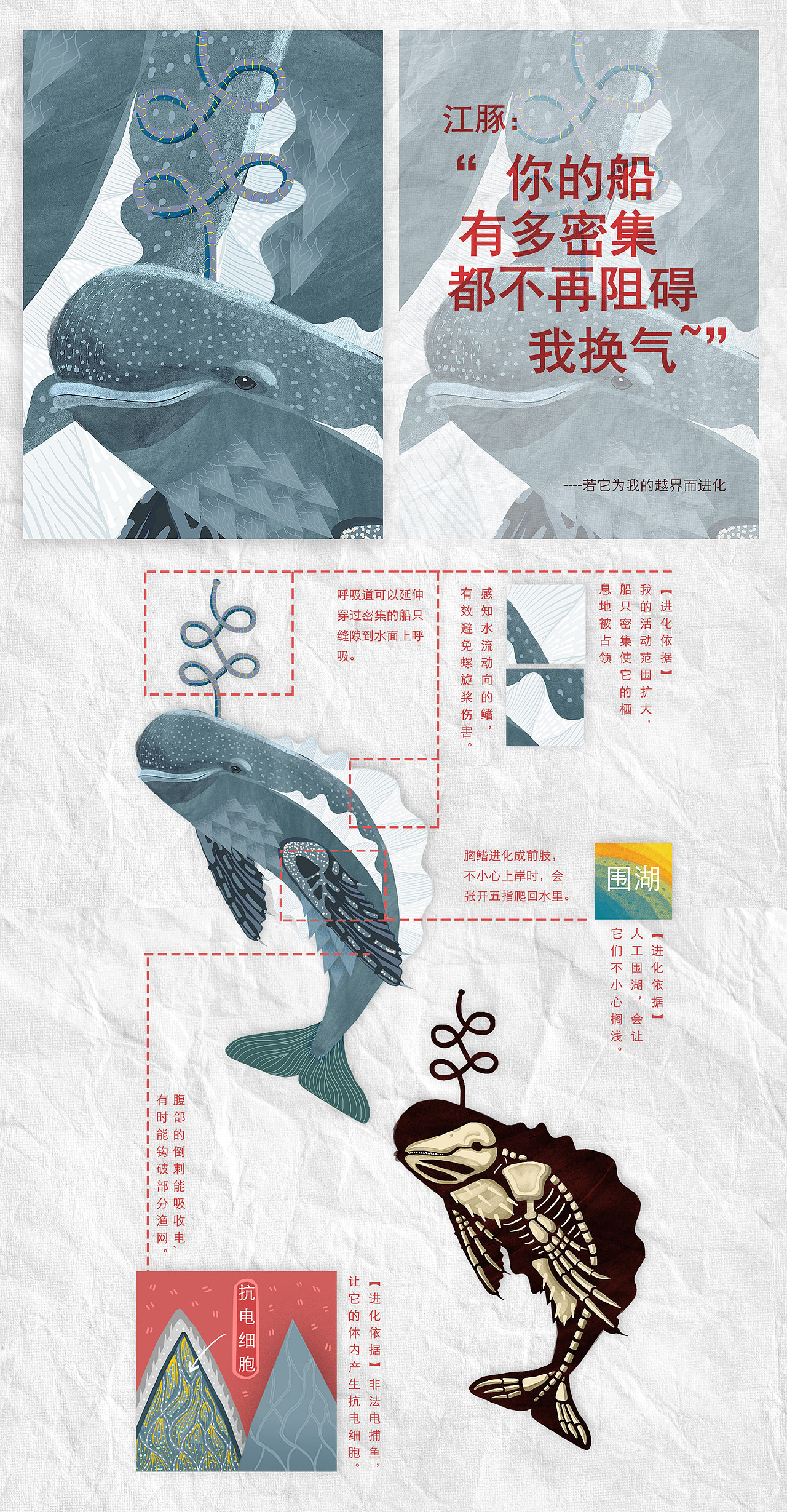 《与我共存的进化》| 濒危物种主题公益插画毕业设计