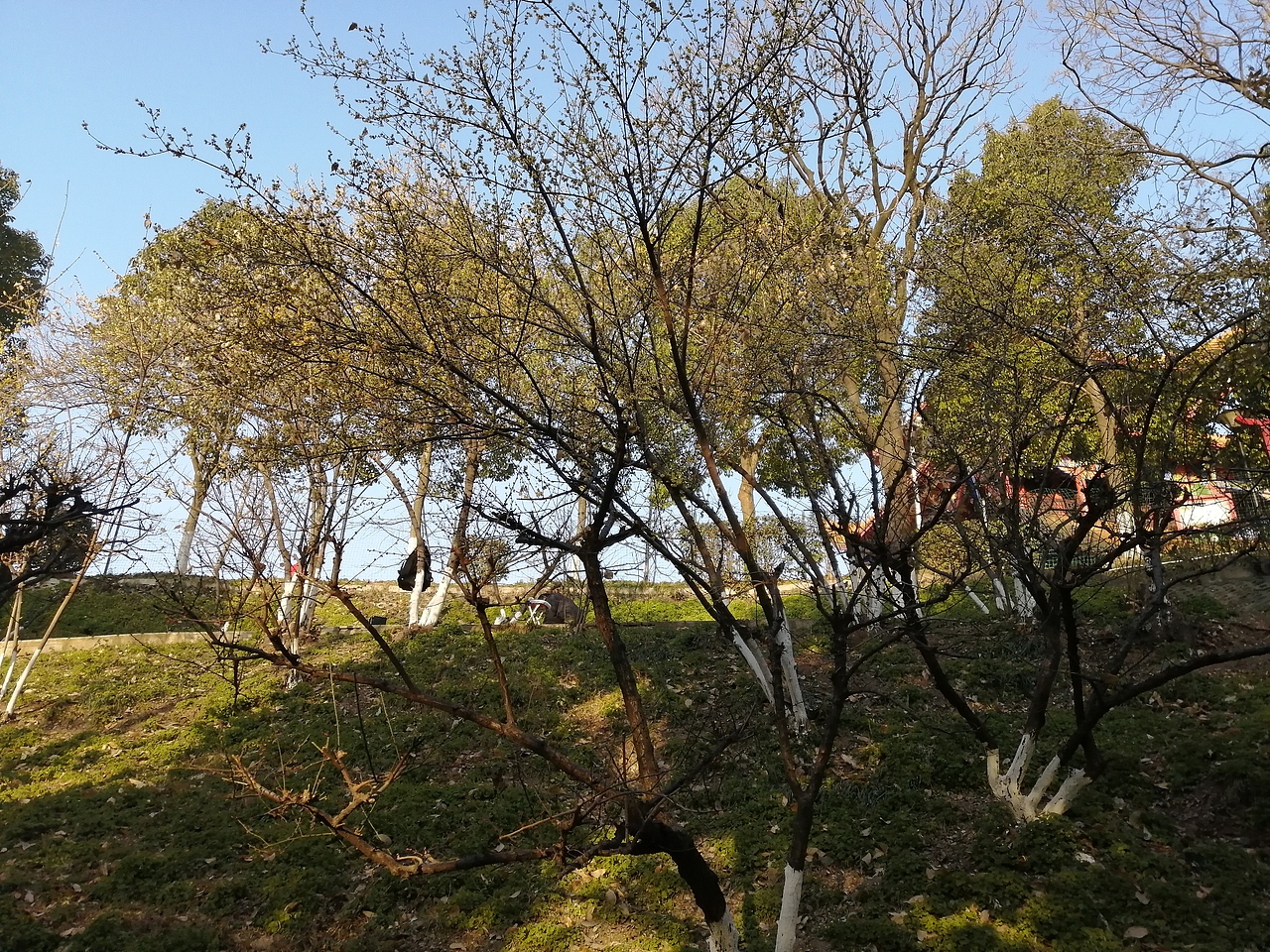 境源己造,相由心生