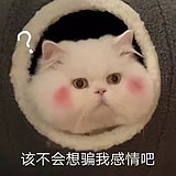 笑笑笑笑笑e的头像
