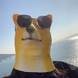 关耳不了了的头像