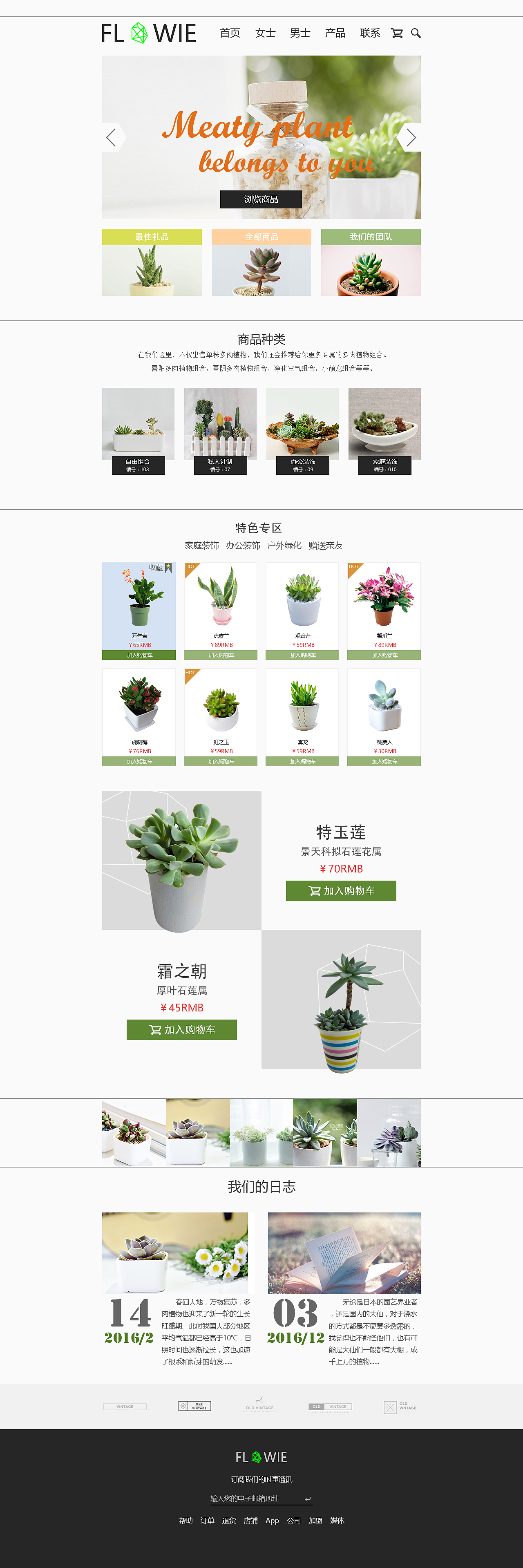 多肉植物（图ZNjA2NjI3Mjg=） - 企业官网 - 站酷设计师不会飞的蝙蝠侠原创素材 - 站酷ZCOOL