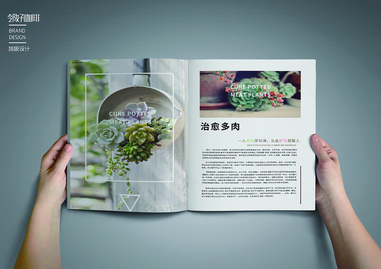 邻好咖啡logo以及vis