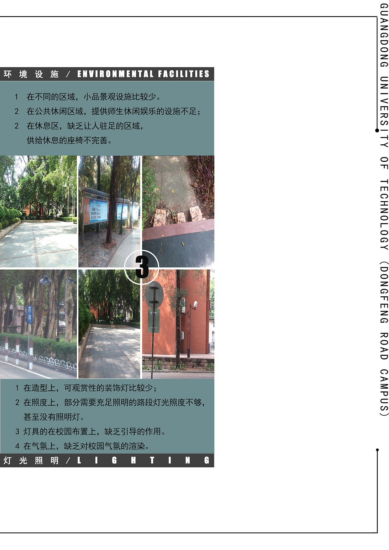 校园植物【作业】