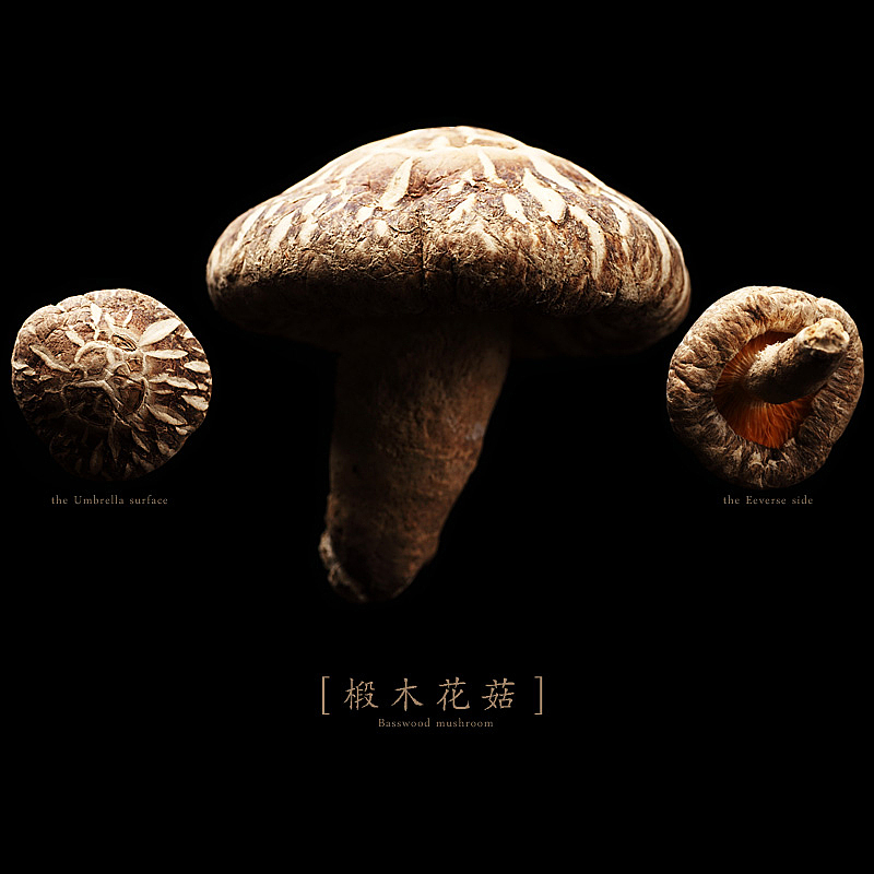 蘑菇星球-蘑菇干品摄影（图ZMTE4NDU2NDA=） - 产品摄影 - 站酷设计师菜男原创素材 - 站酷ZCOOL