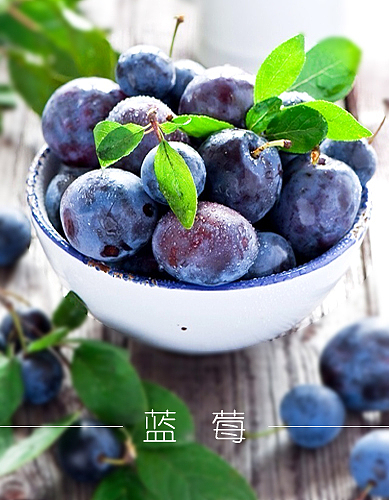无聊如狗（图ZMzMyNDY0MDg=） - 运营设计 - 站酷设计师狗狗哇原创素材 - 站酷ZCOOL