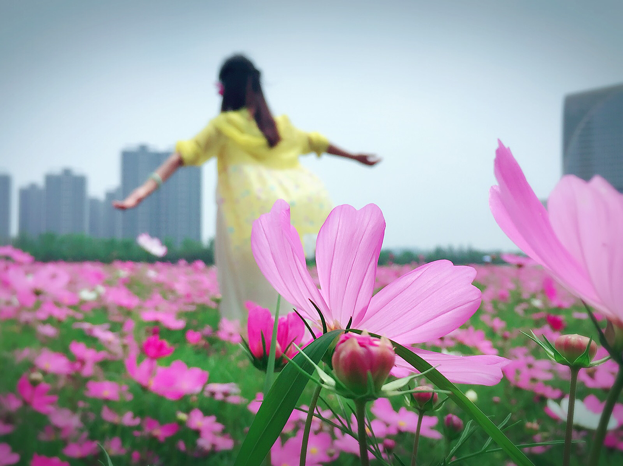随拍风景（图ZNTAxOTQ0MDQ=） - 风光摄影 - 站酷设计师康康小菇凉原创素材 - 站酷ZCOOL