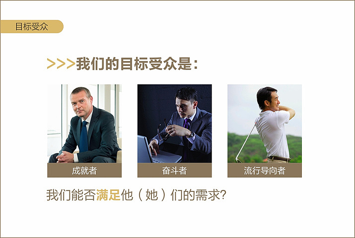 铂龙汇案例(峰尚品牌数字营销)