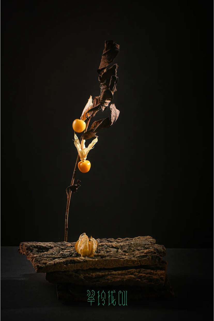 静物写生 | 冬天，记录四季。（图ZMzI1NzY5MTc2） - 美食摄影 - 站酷设计师MKRLJZ原创素材 - 站酷ZCOOL