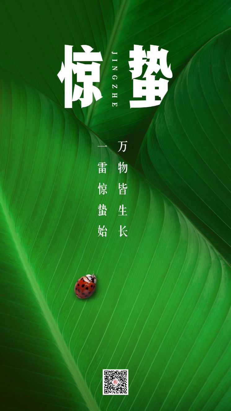 惊蛰,二十四节气惊蛰,惊蛰海报