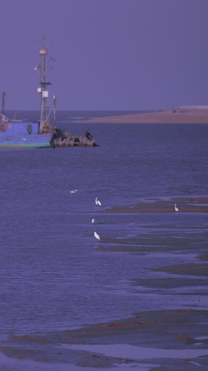 梦.幻‖°——海_鸟~