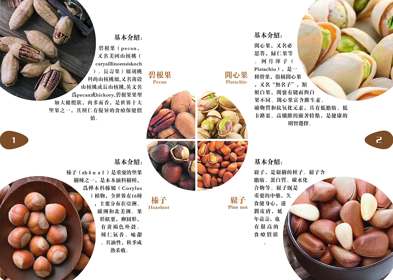 坚果画册