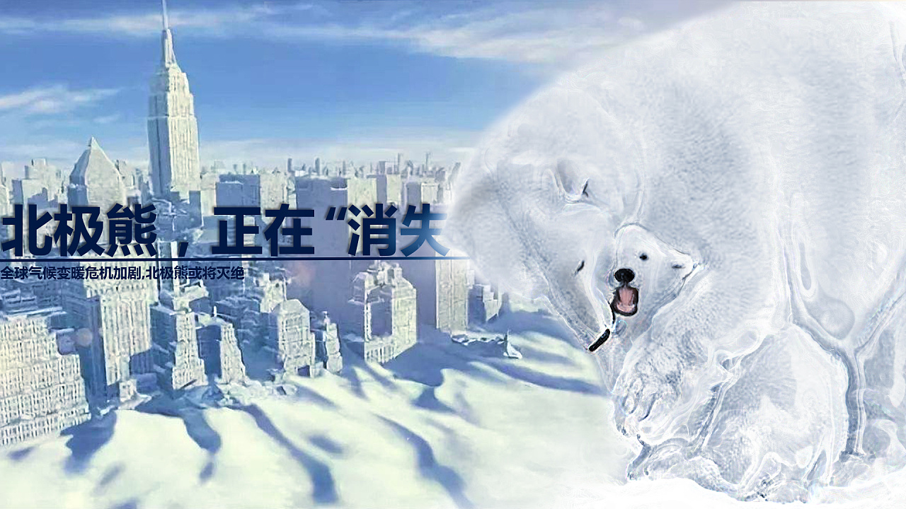 保护北极熊宣传语图片
