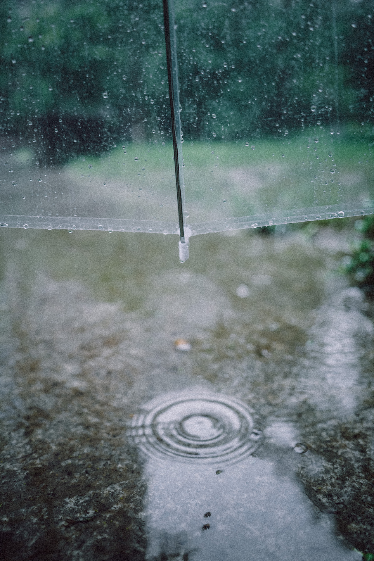 南方的梅雨（图ZMjE1MjkzNjk2） - 人文/纪实摄影 - 站酷设计师丶荧光乌贼原创素材 - 站酷ZCOOL