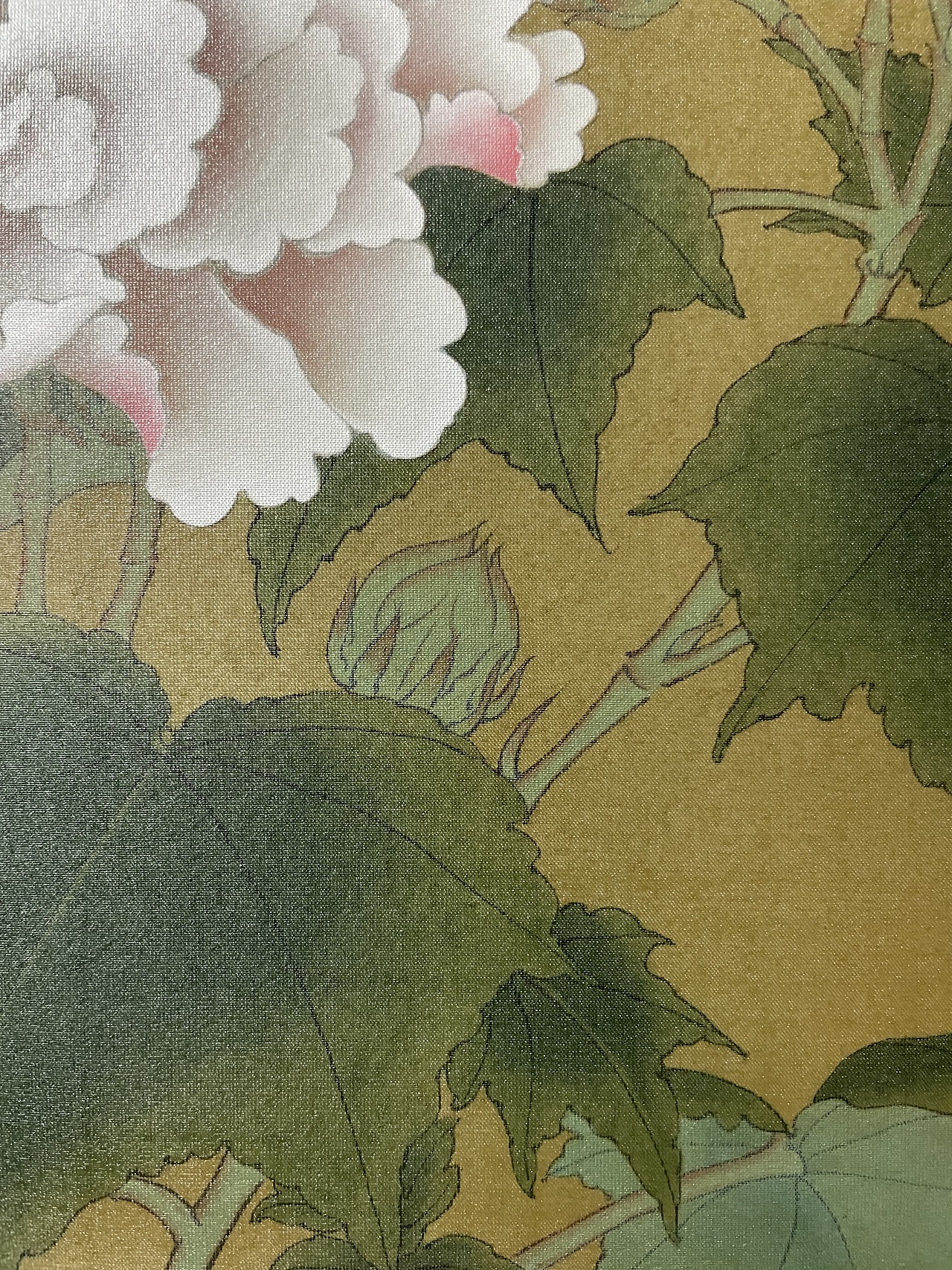 宋小品《红芙蓉图》|纯艺术|绘画|h贺h - 临摹作品 - 站酷 (zcool)