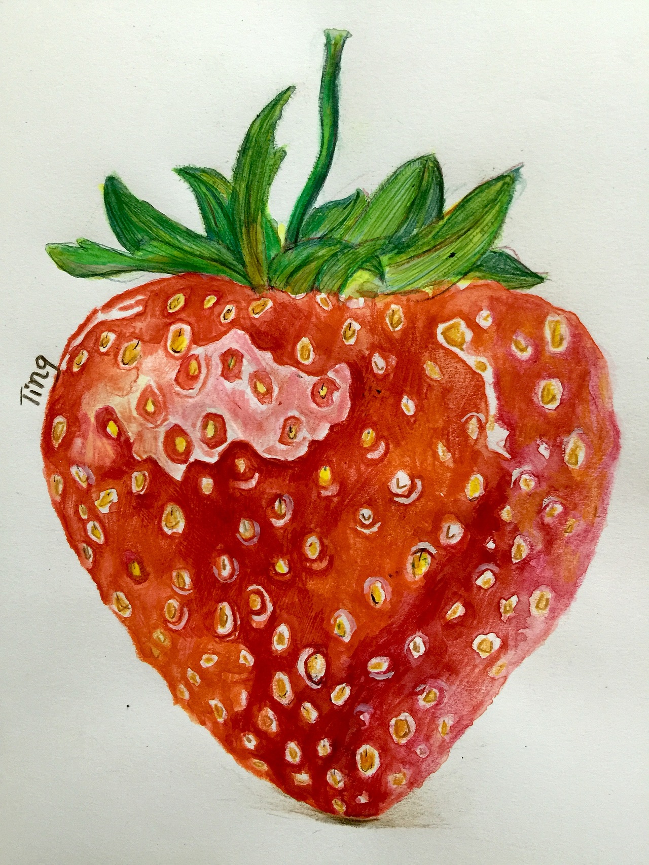 彩铅+水彩草莓（有步骤）（图ZNTIwNjUzNjg=） - 绘画 - 站酷设计师粉沫亭亭原创素材 - 站酷ZCOOL