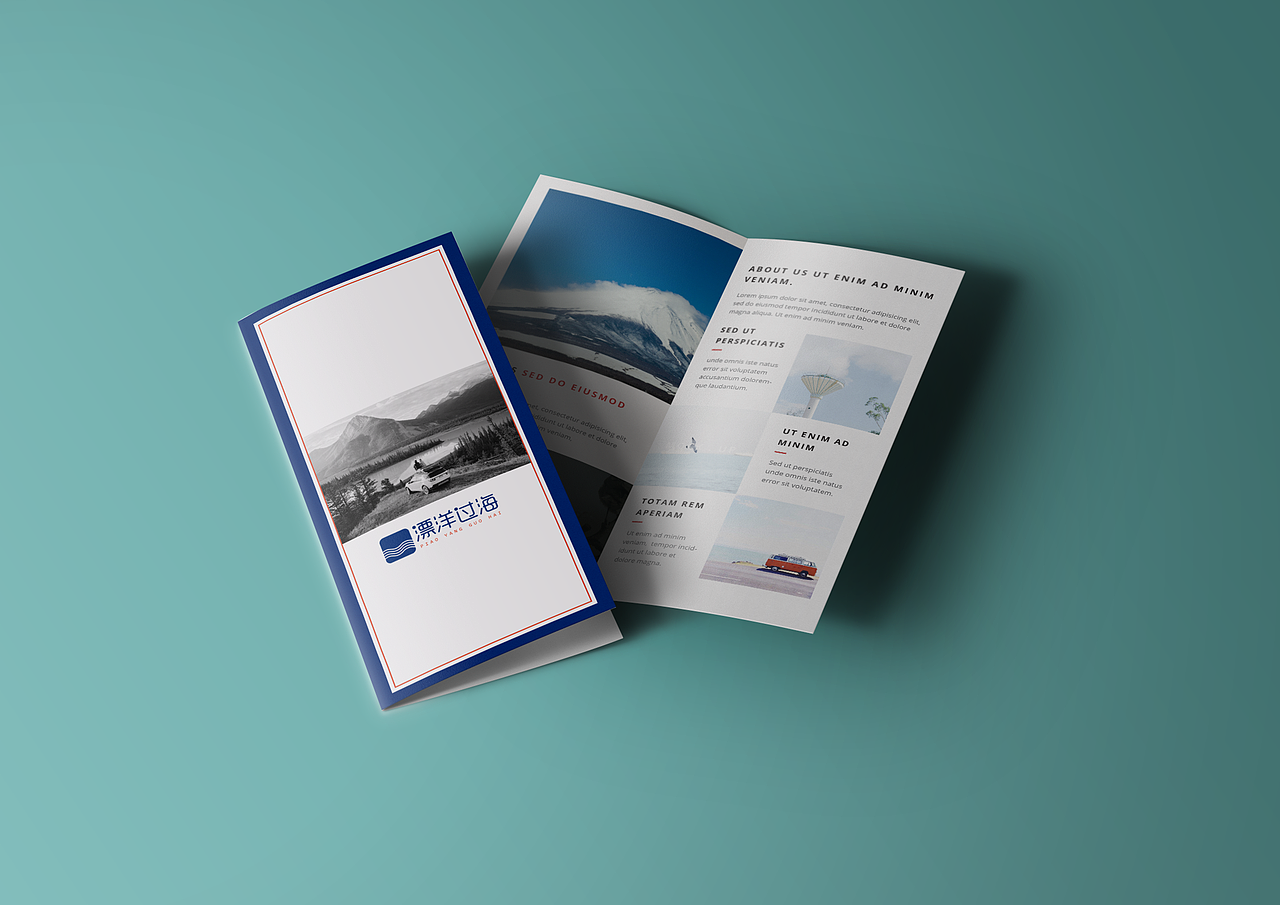 漂洋过海旅游咨询有限公司品牌VI设计