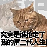 听我胡周设计日常的头像
