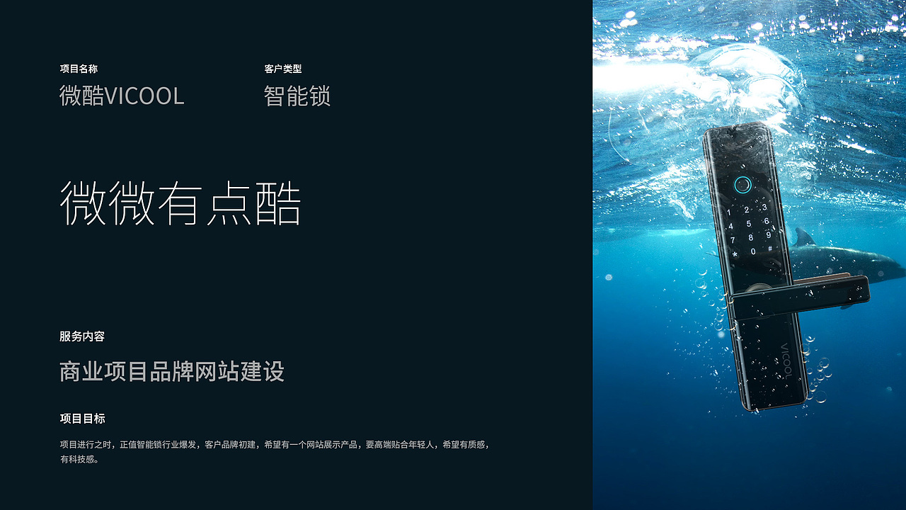vicool智能锁官网以及详情页（图ZMjAzODY0MDcy） - 企业官网 - 站酷设计师大怪兽ING原创素材 - 站酷ZCOOL