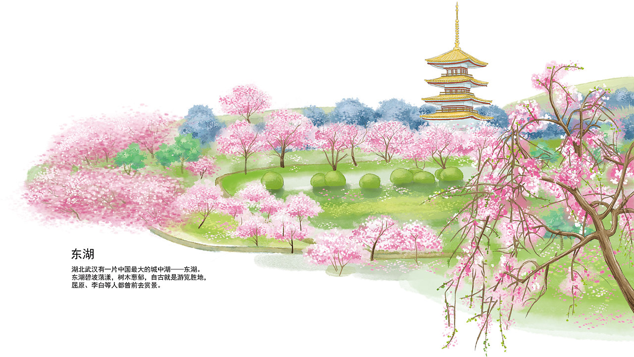 东湖公园——樱花