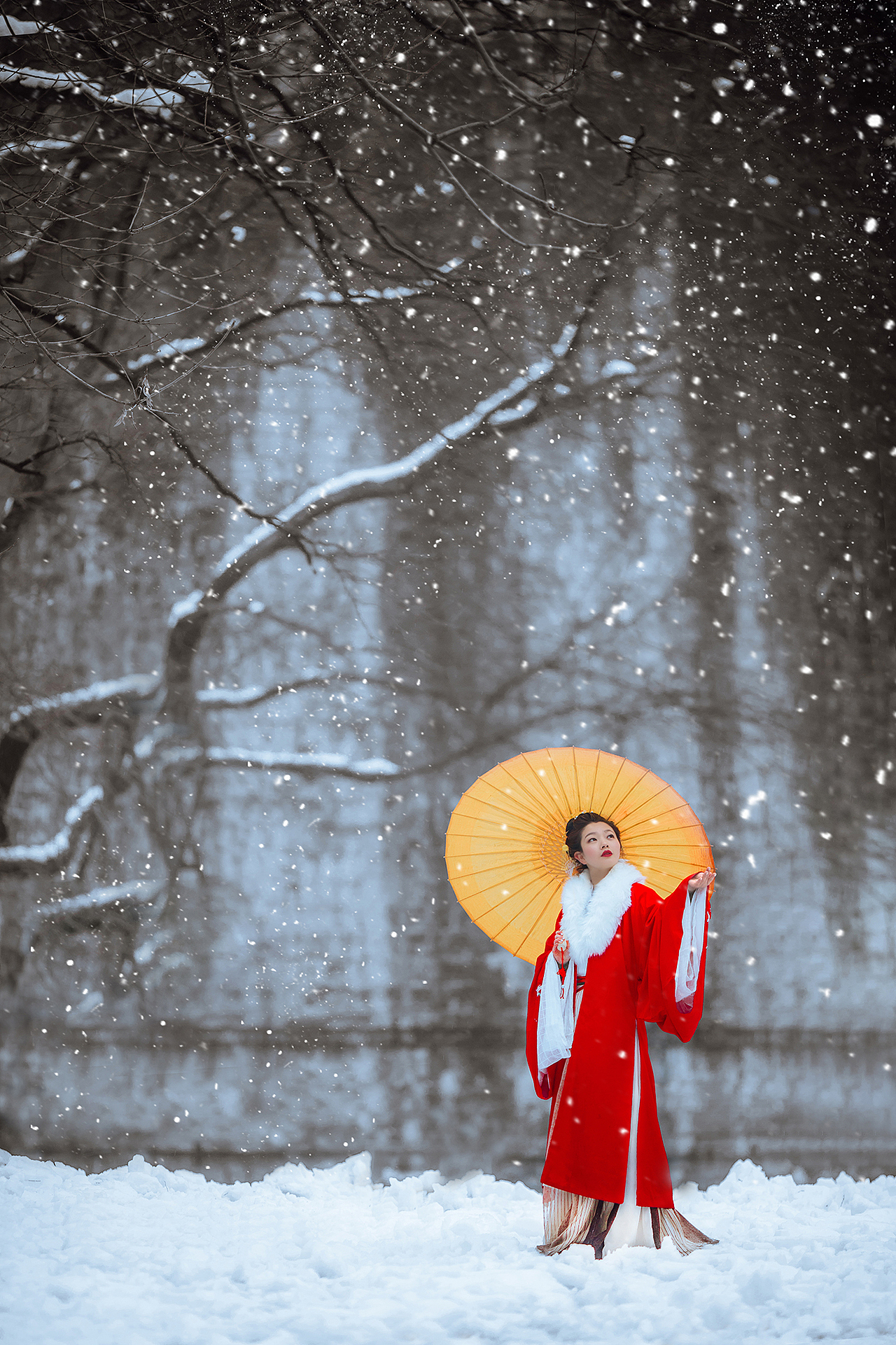 醒觉不复见叹红楼金叉叫唤着雨点夜来冒风雪大寒尚有蝉梦还没有完无锡