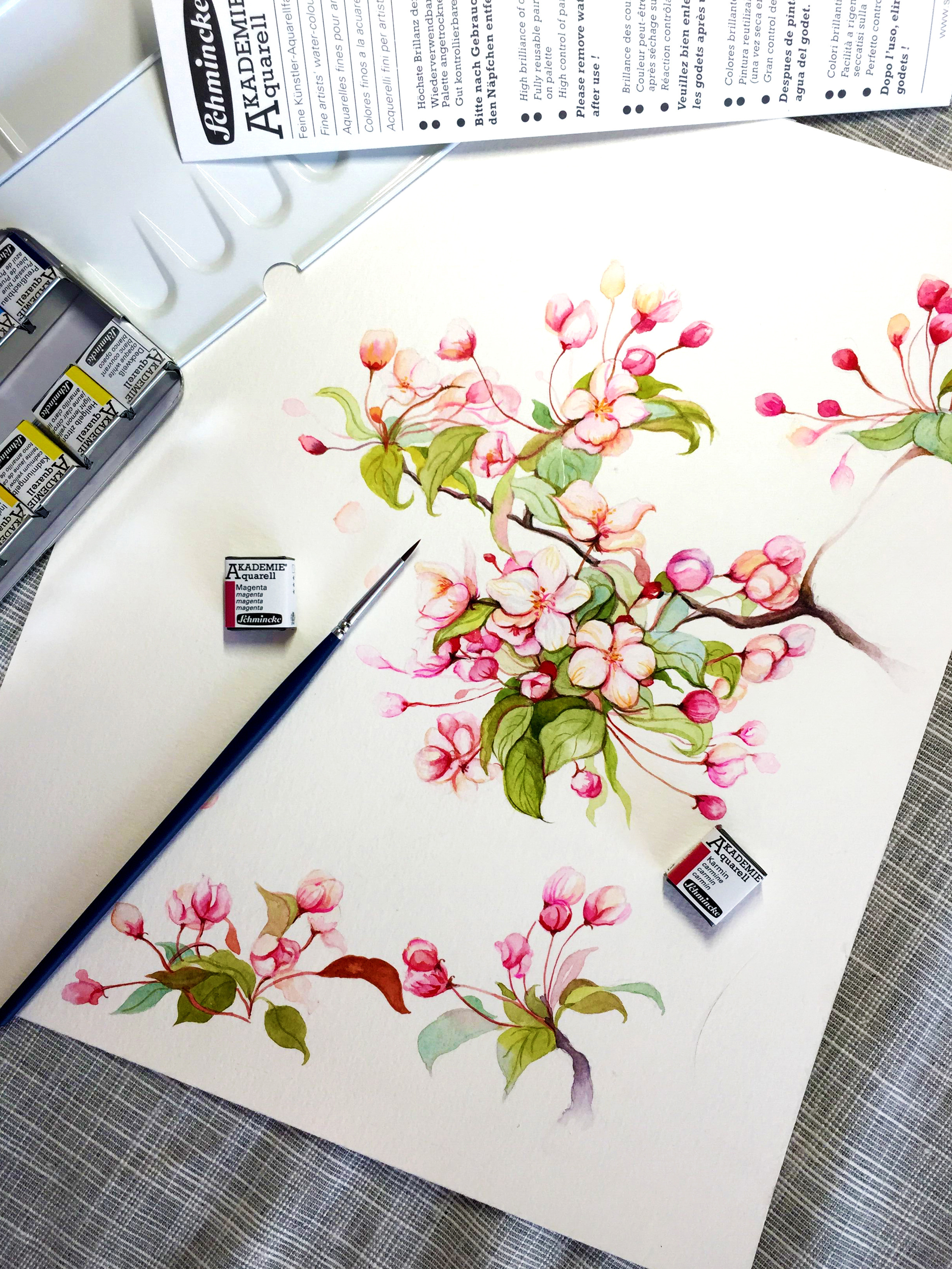 2 垂丝海棠 超详细视频教程,零基础小白也能学得会|插画|插画习作|蒲