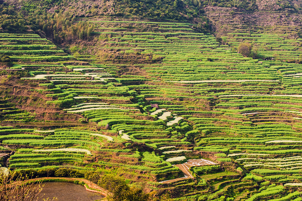 2014.04.05-04.07 婺源