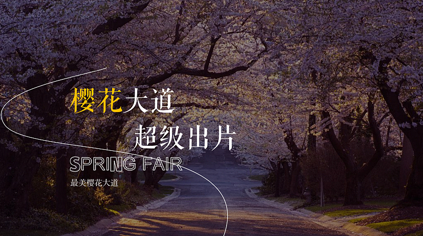 2022春季樱花集市暨样板间开放活动策划方案-46P