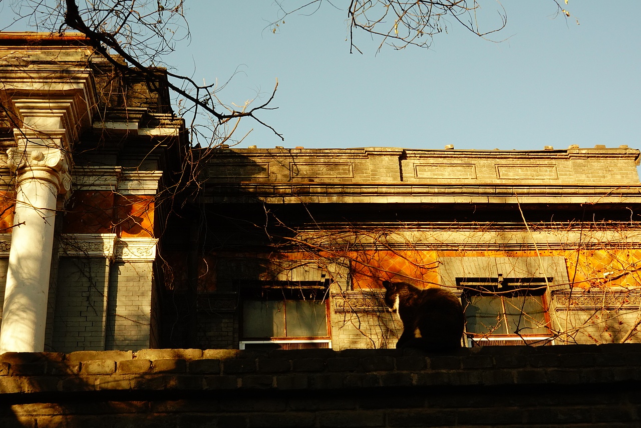 一人行(●°u°●) 」