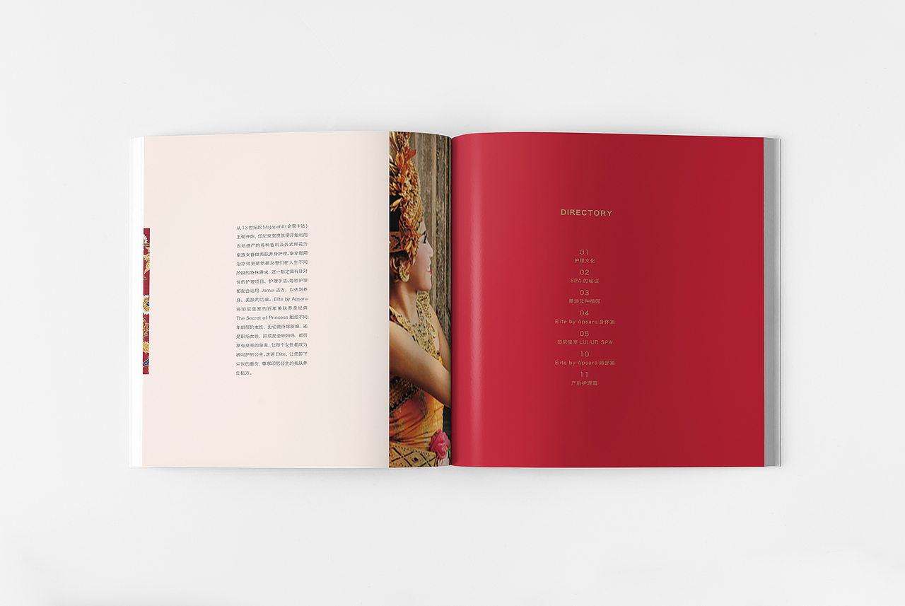 Elite by Apsara（图ZODA2NjA0ODg=） - 书籍/画册 - 站酷设计师兜兜里有糖糖原创素材 - 站酷ZCOOL