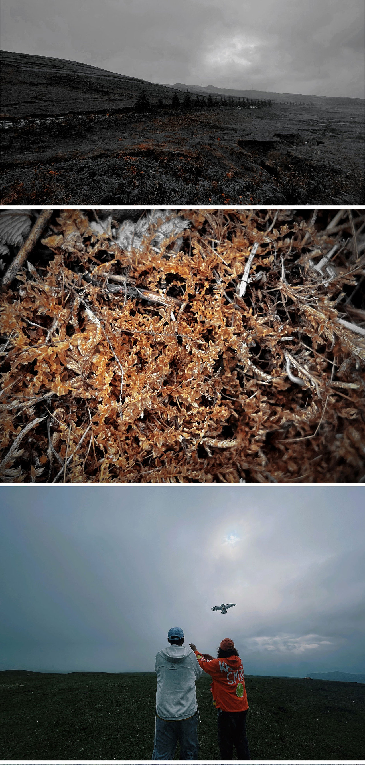 《2021-2022手机摄影集》（图ZMjc1NDg0MTk2） - 其他摄影 - 站酷设计师杀死那只猫原创素材 - 站酷ZCOOL