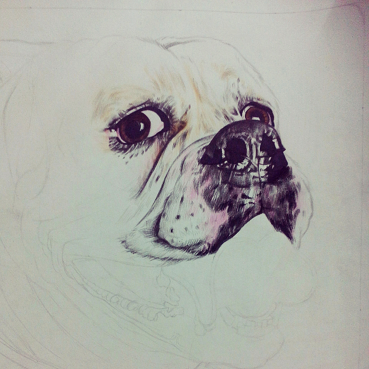 最爱!画狗狂人2