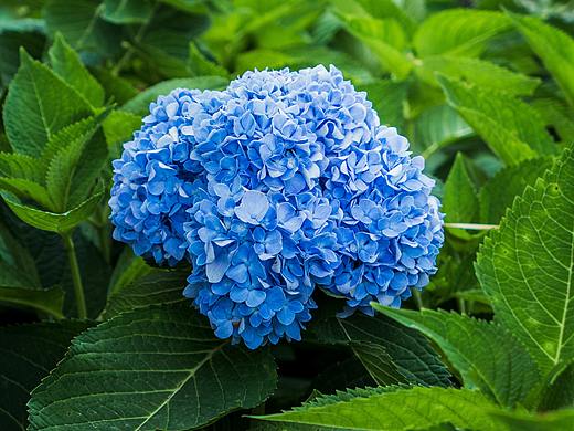 漩门湾湿地公园初印象（个人主页-ZMjkxODc5MDA=） - 风光摄影 - 站酷设计师包子108原创素材 - 站酷ZCOOL