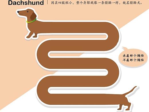 腊肠狗