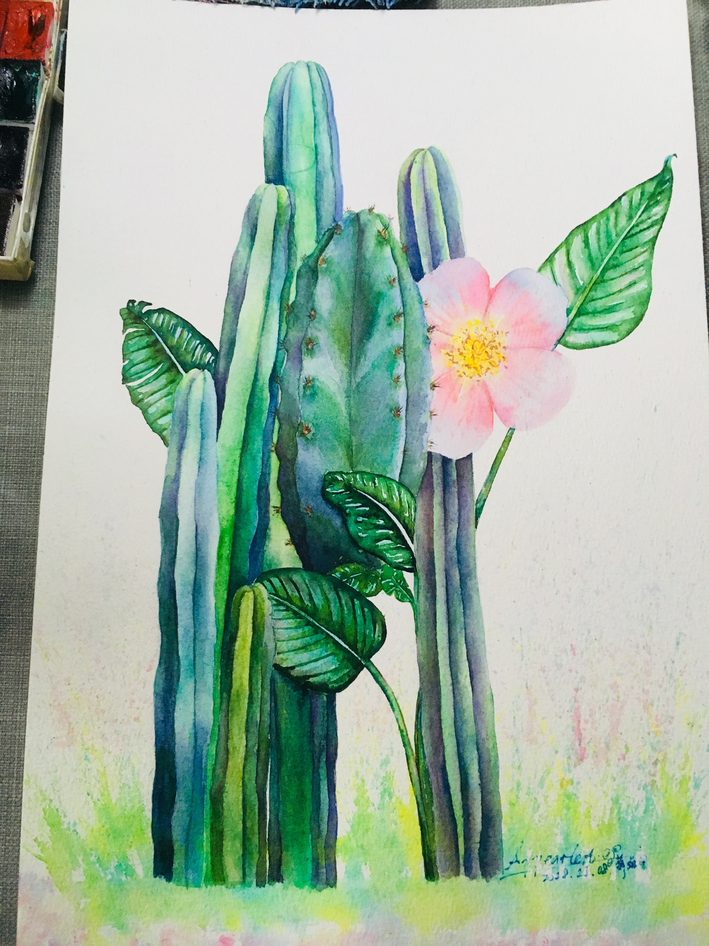 仙人掌|插画|艺术插画|appearlert_j - 原创作品 - 站酷 (zcool)